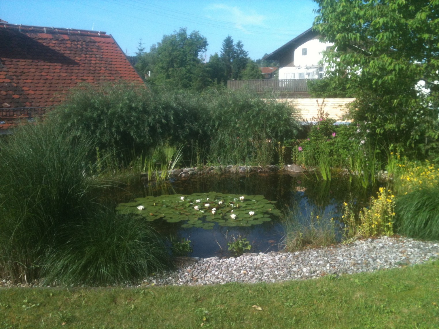 Gestaltung mit Wasser Teich Huber Stefan Gartengestaltung
